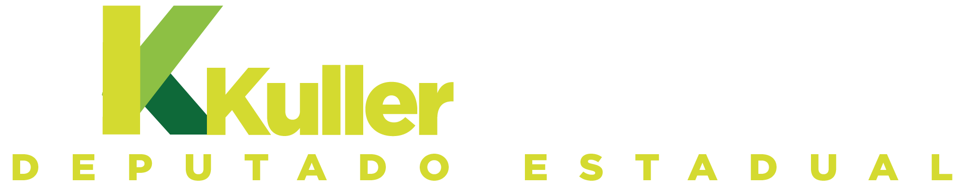 Julio Kuller 22333 — Deputado Estadual